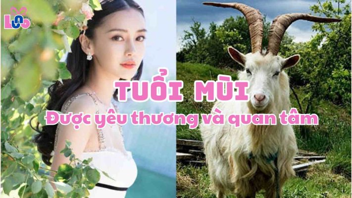 Tuổi Mùi - Được yêu thương và quan tâm