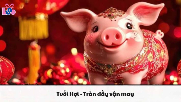 Tuổi Hợi - Tràn đầy vận may